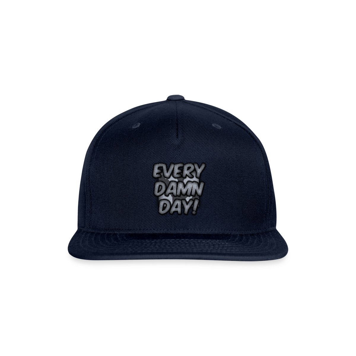 Every Damn Day - Snapback cap