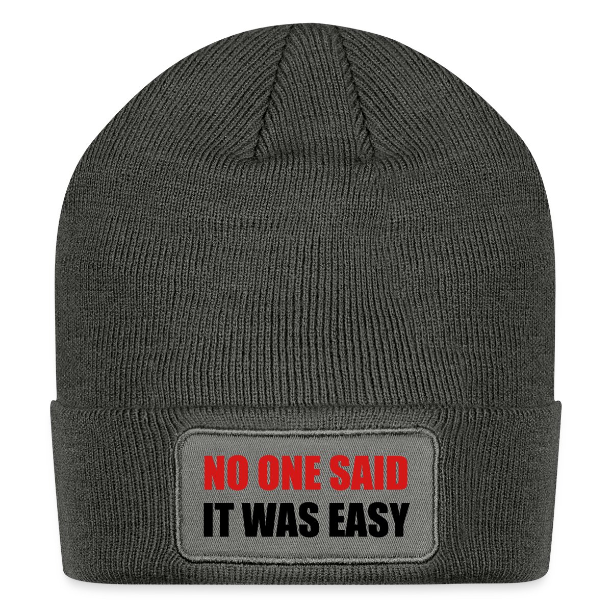 No one said it was easy - Undefined