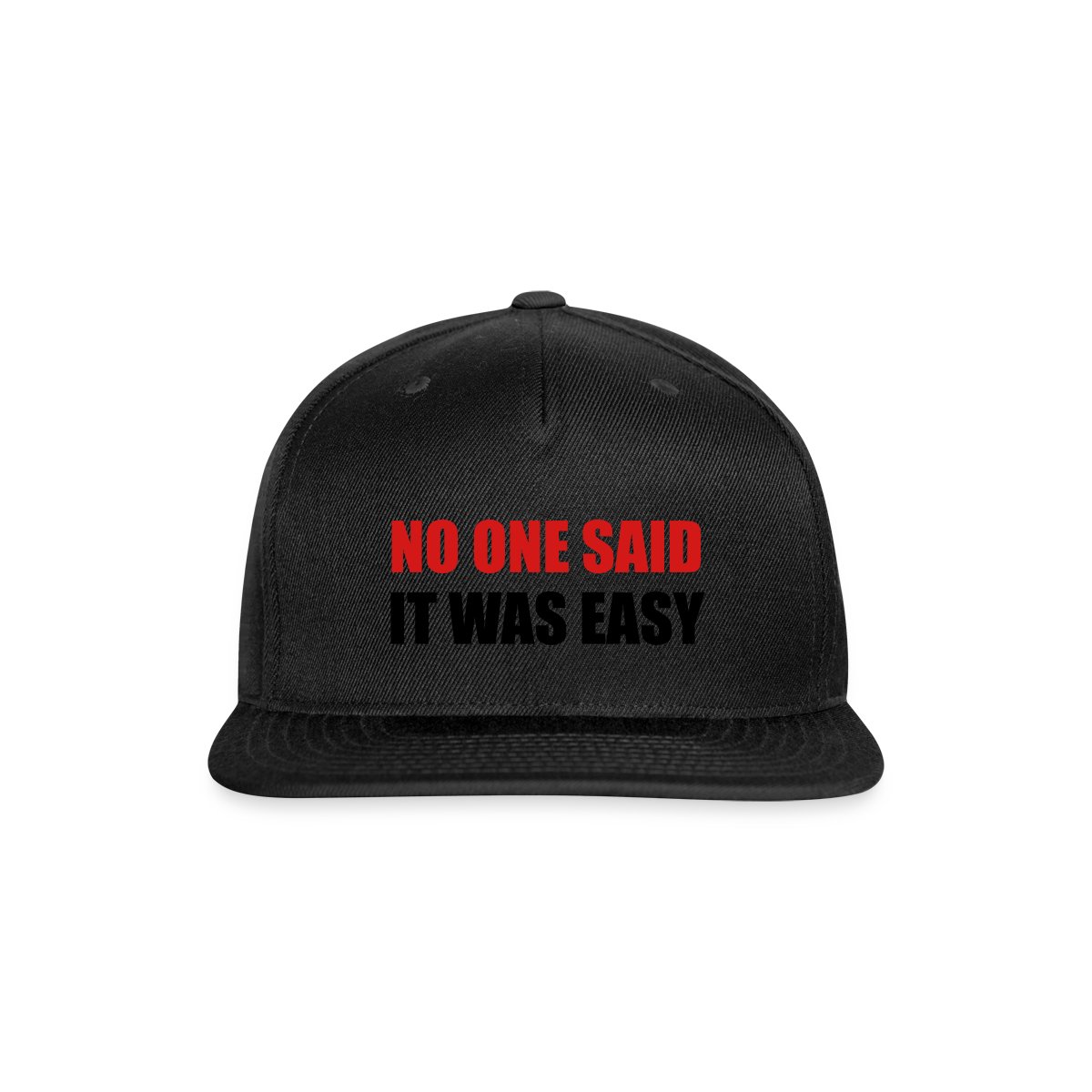 No one said it was easy - Snapback cap