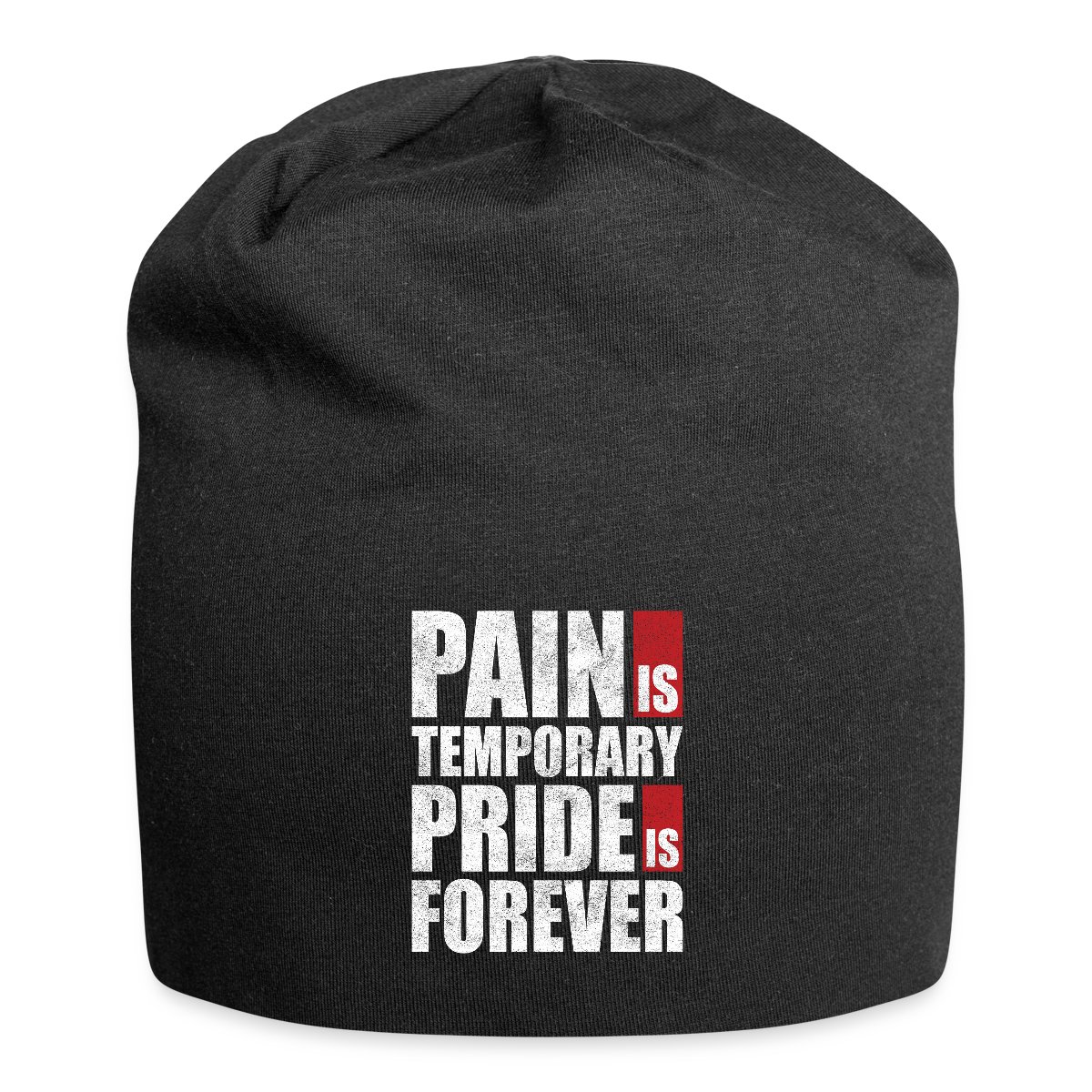 Pain is temporary - Pride is forever - Beanie