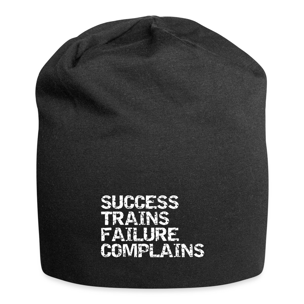 Success trains failure complains - Beanie