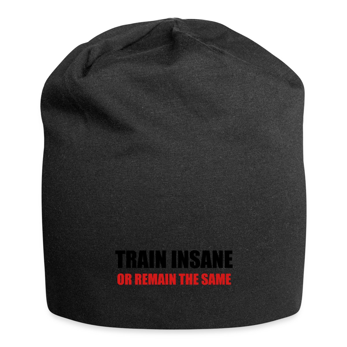Train insane or remain the same - Beanie