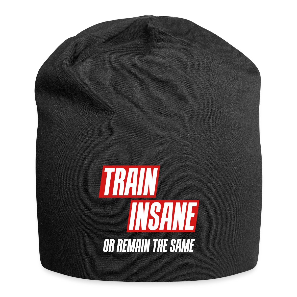 Train insane or remain the same - Beanie