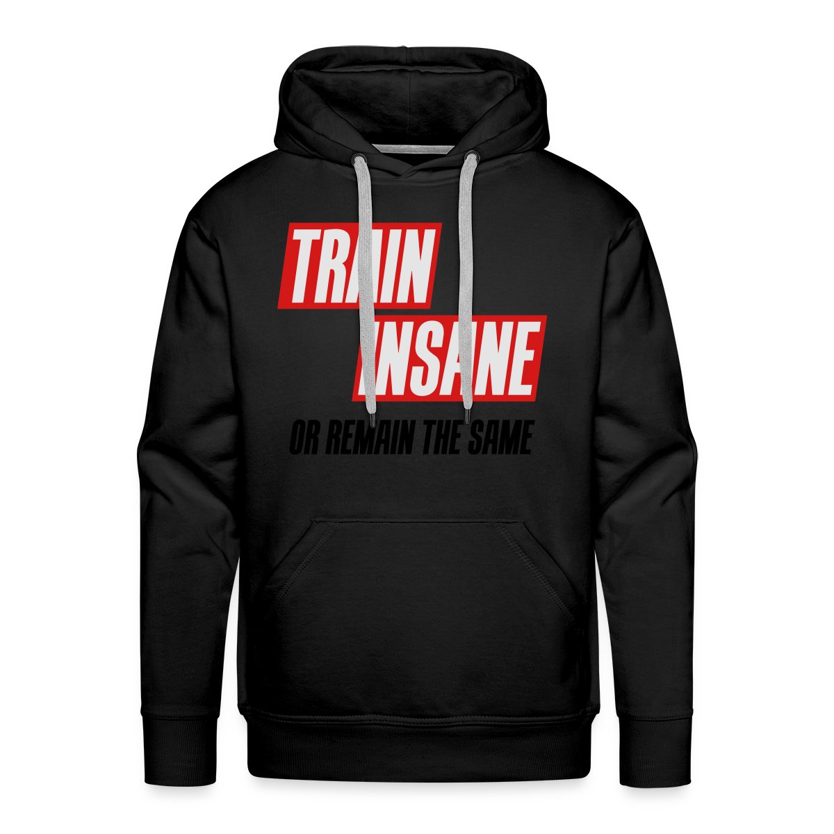 Train insane or remain the same - Men's Premium hoodie