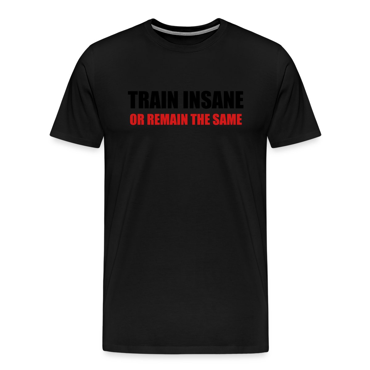 Train insane or remain the same - Men's Premium T-shirt