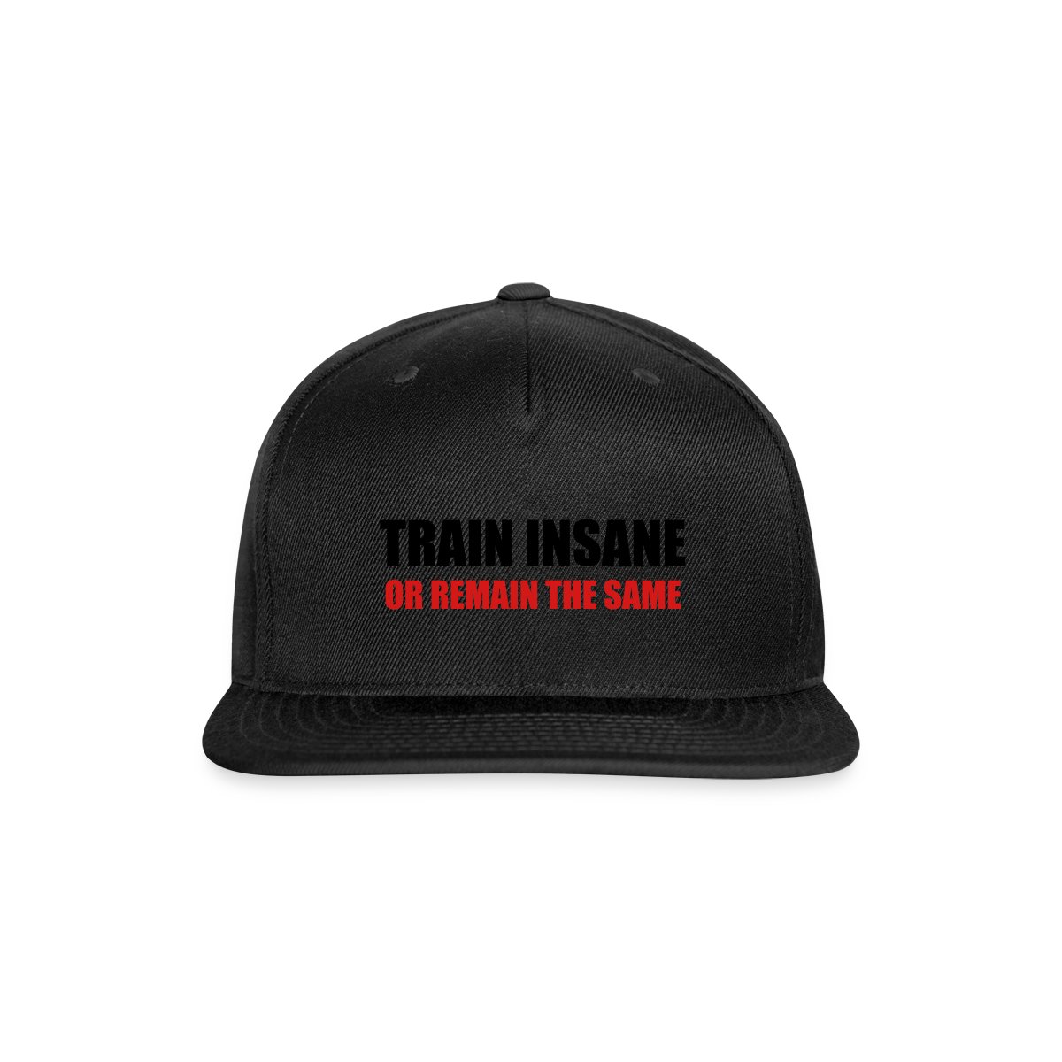 Train insane or remain the same - Snapback cap